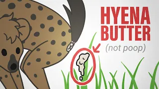 Hyena Butter: Everything You Did And Didn't Want To Know