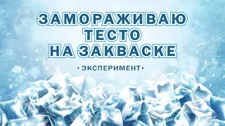 Что будет если заморозить❄ тесто на закваске ? Подойдет или умрет? ПОВЕРЯЮ В НОВОМ ЭКСПЕРИМЕНТЕ!👍