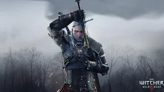 The Witcher 3 Best Fighting Animation Kill Ever Slow Motion