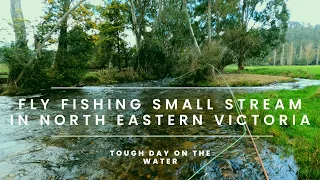 Fly fishing small stream in North Eastern Victoria for trout