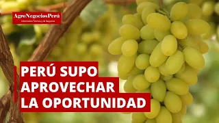Perú primer exportador mundial de uvas, supo aprovechar la oportunidad
