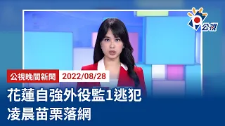 20220828 公視晚間新聞 完整版｜花蓮自強外役監1逃犯 凌晨苗栗落網