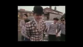 Madness - In the City