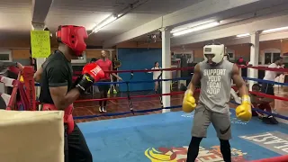 Undefeated Pro Boxer! gives amateur the work.