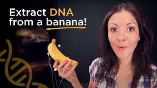 Extract DNA from a banana!