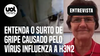 Gripe H3N2: Entenda surto causado pelo vírus influenza A e efetividade de vacinas