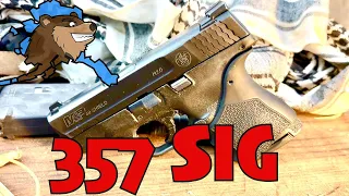 Why I Ditched my Glock 33 for a M&P Shield Chambered in 357 Sig!!