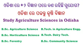 BSc Agriculture, BSc Horticulture, Bsc Forestry, BTech in Agricultural Engg in Odisha