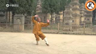 Shaolin Da Luo Han Quan Yi Er San Lu 少林大罗汉拳一二三路