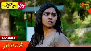 Shravanthi - Promo |03 May 2024  | Gemini TV Serial | Telugu Serial