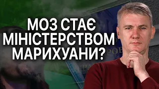 СТЕФАНИШИНА про КАНАБІС: усі потребують марихуани?