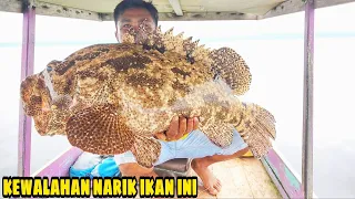 NARIK IKAN SEBESAR INI || tenagaku hampir kewalahan