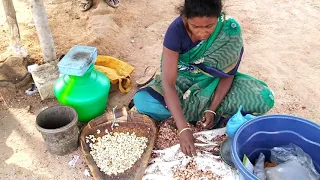 Cashew nut Processing | Cashew nut | Roasting Cashew nut | Cashew nut Processing india