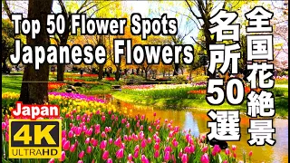 全国花の名所50選 Top 50 Flower Spots in Japan チューリップ、バラ、ツツジ、芝桜 ネモヒラ 日本の花名所 花旅 花絶景 花風景 garden flower 花風景 見頃