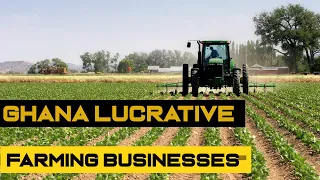TOP 10 PROFITABLE FARMING BUSINESS IDEAS IN GHANA WITH LITTLE CAPITAL