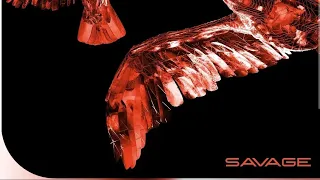 Tiësto & Deorro - Savage vs. Como Me Tienes (EDC Mexico Intro)