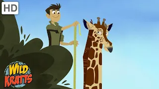 Amazing Adaptations Part 7 | How Animals Survive in the Wild | Wild Kratts