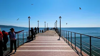 Болгария Солнечный Берег☀️🚘Прокатимся по Солнечному Берегу, Святой Влас, и прогулка на море🚁