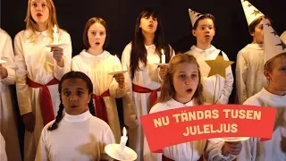 Barnkammarkören / Barnplanetens Luciakör - Nu tändas tusen juleljus - Lucia & Julmusik