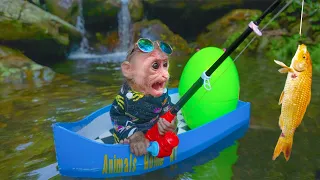 Baby monkey going koi fishing is very funny and cute | @Animal Home HT