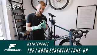 Get your bike ready for summer - The ONE HOUR essential tune-up with the Ride Beyond Crew