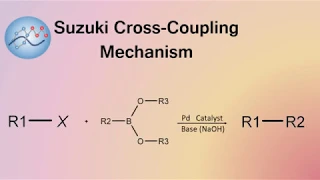 Suzuki Cross-Coupling Mechanism | Organic Chemistry