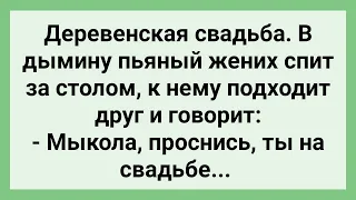 Пьяный Жених Уснул на Деревенской Свадьбе! Сборник Свежих Смешных Жизненных Анекдотов!