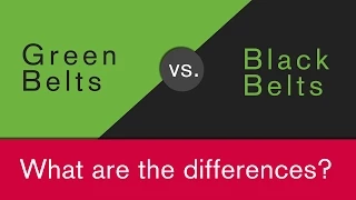 What is the difference between Green Belt and Black Belt?