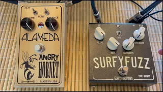 Testing the Angry Hornet and Surfy Fuzz  guitar effects pedal