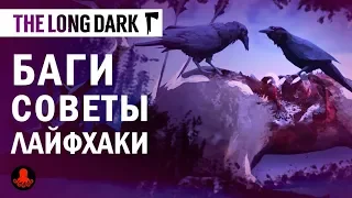 The Long Dark: БАГИ, СОВЕТЫ, ЛАЙФХАКИ