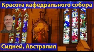 Кафедральный Собор Девы Марии в Сиднее. (видео 124)