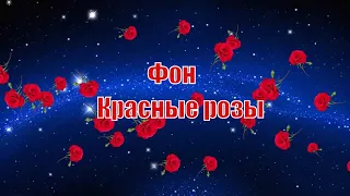 Красные розы на синем фоне. Красивый футаж для монтажа