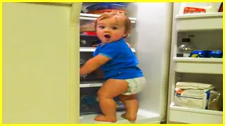 Funny Naughty Sneaky Babies Steal - Cute Baby Videos