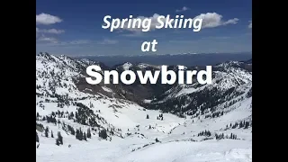 Fantastic Spring Skiing Snowbird Ski Resort