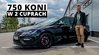 Bitwa tunerów - 750 KM w dwóch Cuprach z "wirusem" (Leon kontra Carbon)