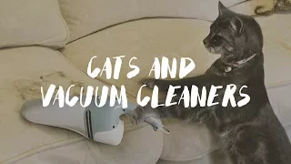 Cats And Vacuum Cleaners Compilation 2017