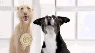 The Bark Side - Volkswagen Game Commercial Teaser  Super Bowl XLVI 2012 - Star Wars / Dogs