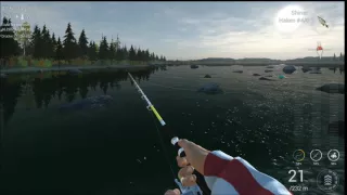 Fishing Planet Alaska (Pose) (Einzigartiger Die Stierforelle /Unique Bull Trout)