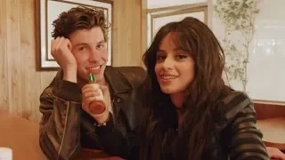 Shawn Mendes Responds To Camila Cabello Dating Rumors