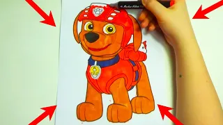 Zuma | PAW Patrol Coloring Pages , Drawing