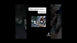 дед скинул гирю с балкона