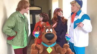 Shaggy and Scooby Doo ruin Fred's Valentine's plans! // Universal Studios