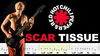 Red Hot Chili Peppers - Scar Tissue (Bass Tabs) By @ChamisBass