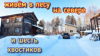 Живём на севере в лесном домике/привезли воду/планы на лето/приготовила овсяное печенье.