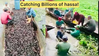 Venezuelans catching ‘billions’ of hassar; selling them in Guyana