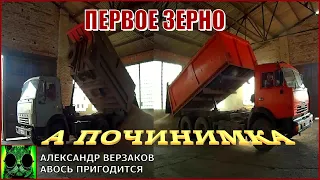 Началось в колхозе утро 6/14. Вот и первое зерно 2020.