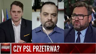 CZY PSL PRZETRWA?