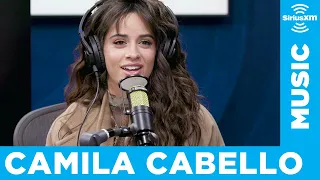 Camila Cabello and Shawn Mendes Binge-Watch 'Friends' Together