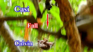 SHOCKING HEART! ORPHAN CALVIN FALL DOWN FROM HIGH TREE BECAUSE A SECOND OF STEP MOM CASI CARELESS