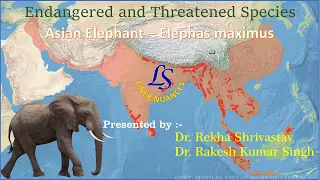 Endangered and Threatened species : Asian Elephant - Elephas maximus